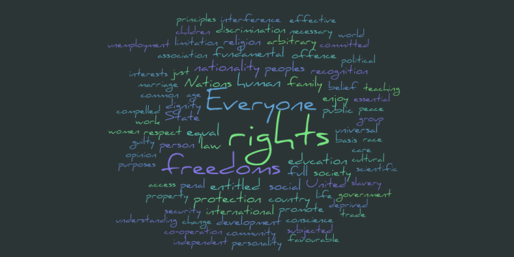 Universal Declaration of Human Rights Word Cloud