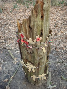 Bullet-Riddled Tree in Sanctuary Wood