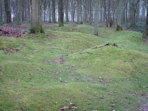 Former trenches at Delville Wood