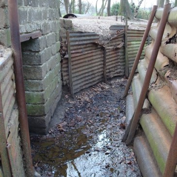 Preserved trenches at Sanctuary Wood Museum
