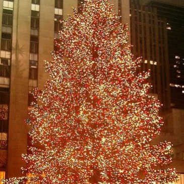 The Christmas tree at Rockefeller Center