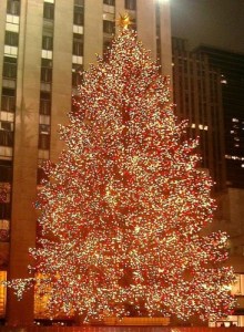 The Christmas tree at Rockefeller Center