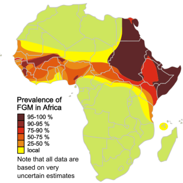 2011 Map of FGM in Africa