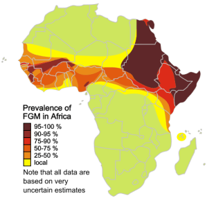 2011 Map of FGM in Africa
