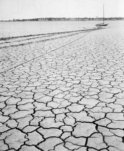 Drought in Texas, 1955