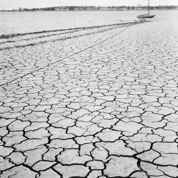 Drought in Texas, 1955