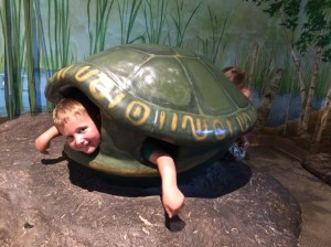 Isaiah as a turtle at the MN Children's Museum