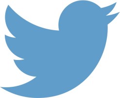 Larger Twitter logo