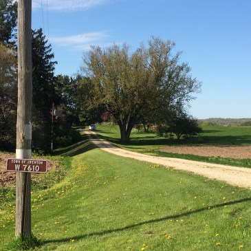 Looking down the driveway from by the mailbox