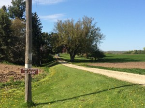 Looking down the driveway from by the mailbox