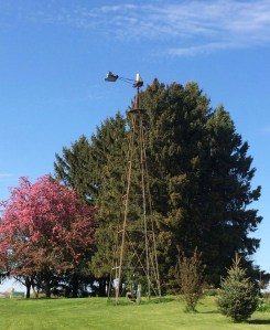 What's left of the farm's windmill