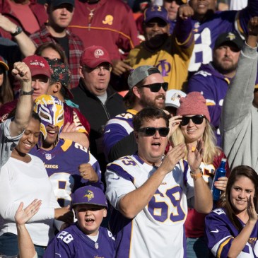 Minnesota Vikings fans in 2016