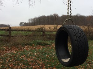 The tire swing at the farm