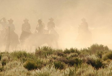 Deep Springs students and faculty on a cattle drive